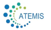 ATEMIS CONSULTING LLC